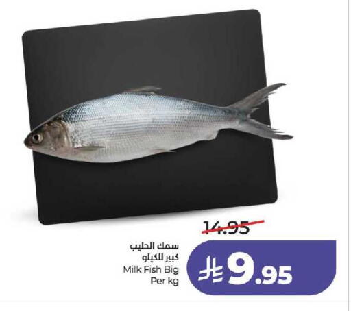 available at لولو هايبرماركت in مملكة العربية السعودية, السعودية, سعودية - جدة