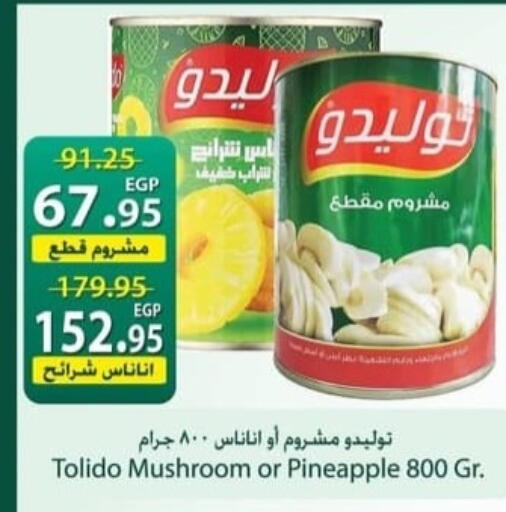 Pineapple Mushroom available at سبينس in Egypt - القاهرة