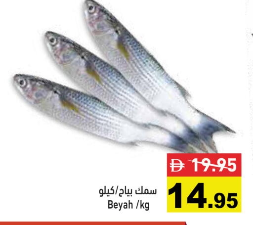 available at أسواق رامز in الإمارات العربية المتحدة , الامارات - رَأْس ٱلْخَيْمَة