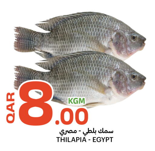available at Al Baladi Al Yawm in Qatar - Al Shamal
