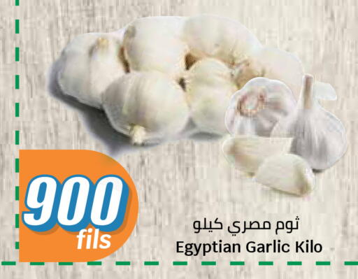 Garlic from Egypt available at City Hypermarket in Kuwait - Kuwait City