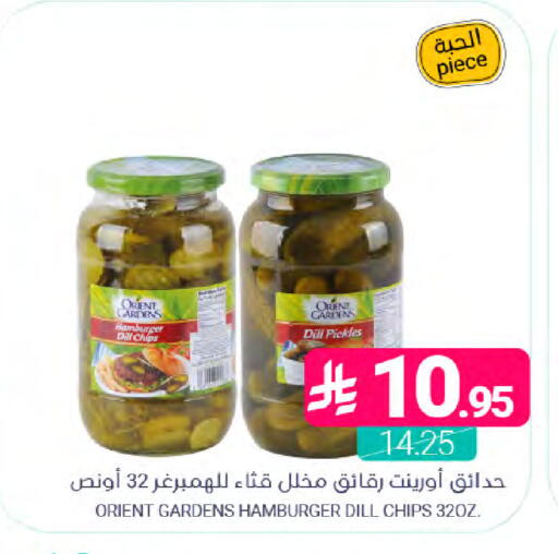 Dill available at Muntazah Markets in KSA, Saudi Arabia, Saudi - Dammam