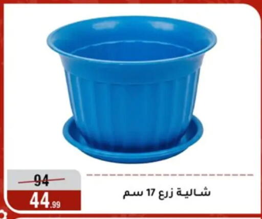 available at Al Morshedy  in Egypt - Cairo