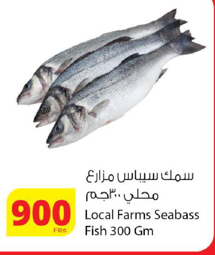 available at Agricultural Food Products Co. in Kuwait - Kuwait City