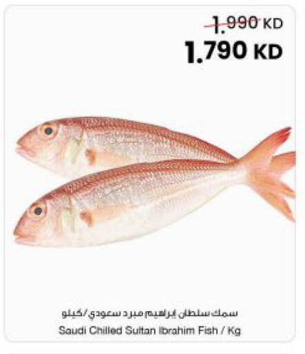 available at The Sultan Center in Kuwait - Ahmadi Governorate