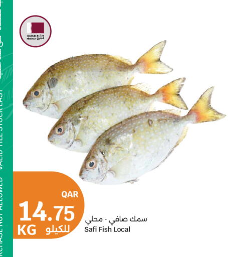 available at City Hypermarket in Qatar - Doha