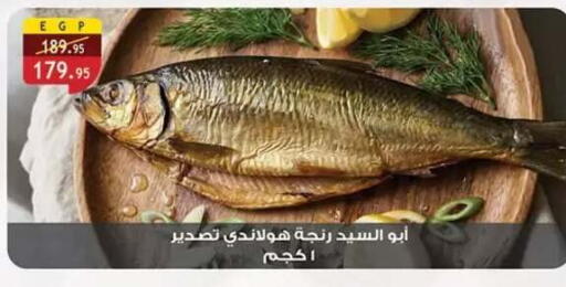 available at الرايه  ماركت in Egypt - القاهرة