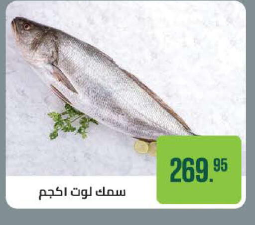 available at سعودي سوبرماركت in Egypt - القاهرة