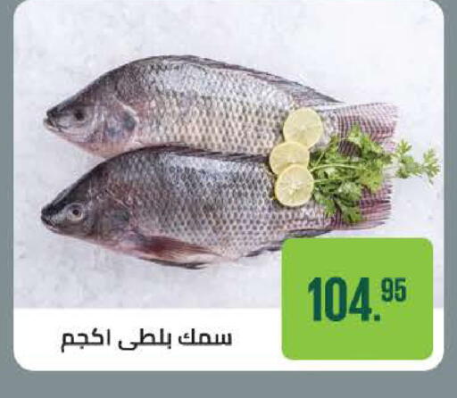available at سعودي سوبرماركت in Egypt - القاهرة