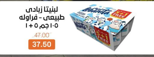 available at بيت الجملة in Egypt - القاهرة