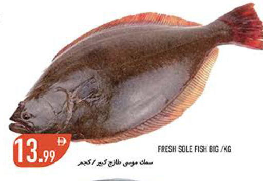 available at  روابي ماركت عجمان in الإمارات العربية المتحدة , الامارات - الشارقة / عجمان