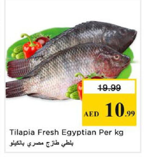 available at نستو هايبرماركت in الإمارات العربية المتحدة , الامارات - رَأْس ٱلْخَيْمَة