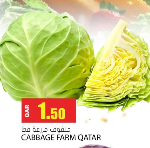 Cabbage from Qatar available at جراند هايبرماركت in قطر - الضعاين