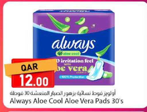 available at Dana Market in Qatar - Doha