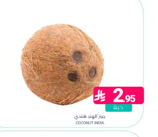 Coconut from India available at Muntazah Markets in KSA, Saudi Arabia, Saudi - Dammam