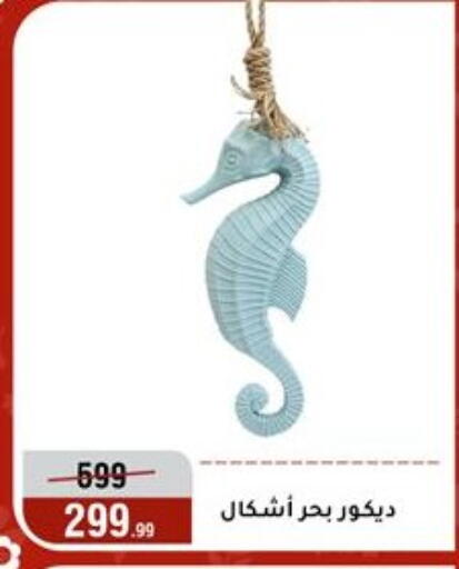 available at المرشدي in Egypt - القاهرة