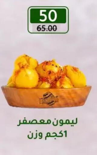 available at Wekalet Elmansoura - Dakahlia  in Egypt - Cairo
