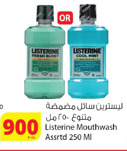 Mint available at Agricultural Food Products Co. in Kuwait - Kuwait City
