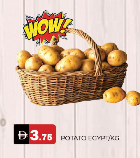 Potato from Egypt available at AL MADINA in UAE - Sharjah / Ajman