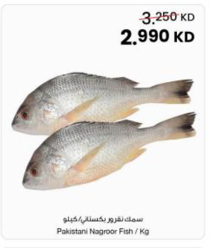 available at The Sultan Center in Kuwait - Ahmadi Governorate