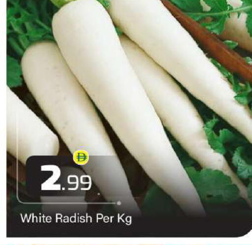 Radish available at بيج مارت in الإمارات العربية المتحدة , الامارات - دبي