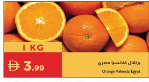 Orange from Egypt available at Istanbul Supermarket in UAE - Sharjah / Ajman