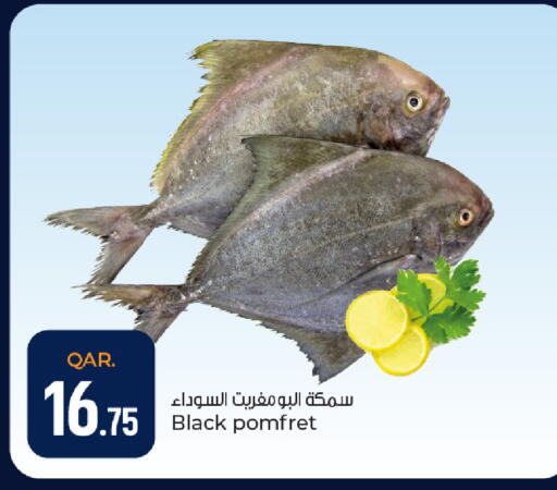 available at Paris Hypermarket in Qatar - Al Wakra