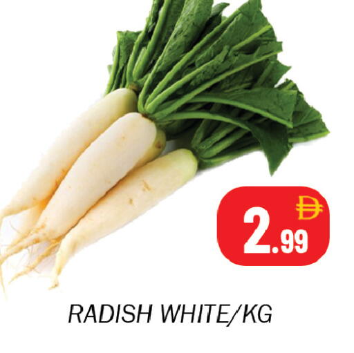 Radish available at سوق المبارك هايبرماركت in الإمارات العربية المتحدة , الامارات - الشارقة / عجمان