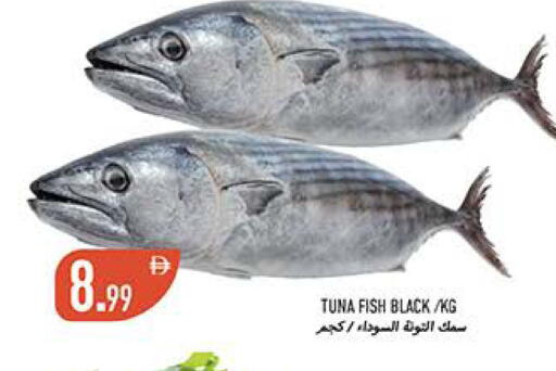 available at  روابي ماركت عجمان in الإمارات العربية المتحدة , الامارات - الشارقة / عجمان