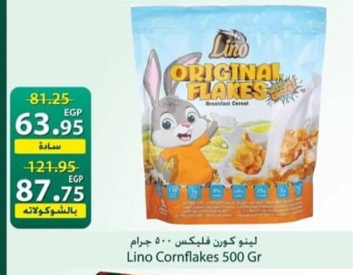 available at سبينس in Egypt - القاهرة