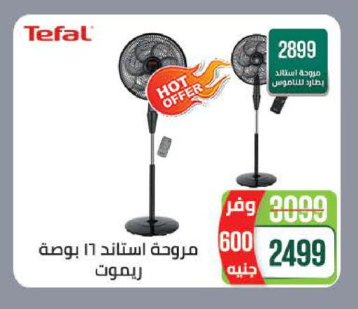 available at سعودي سوبرماركت in Egypt - القاهرة