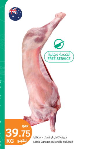 available at سيتي هايبرماركت in قطر - الضعاين