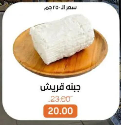 available at بيت الجملة in Egypt - القاهرة