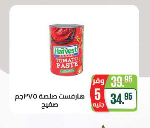 Tomato available at سعودي سوبرماركت in Egypt - القاهرة