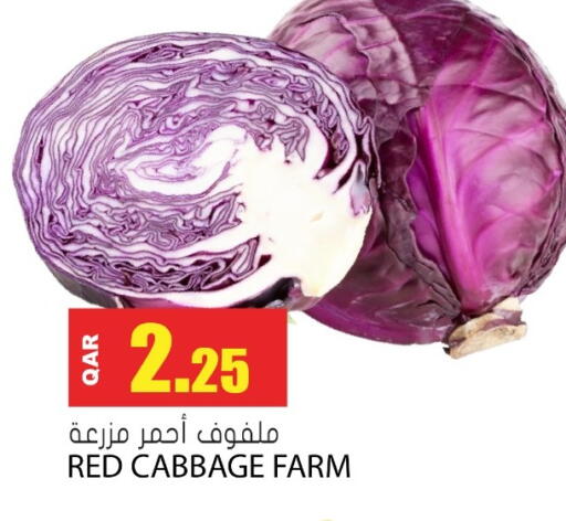 Cabbage available at جراند هايبرماركت in قطر - الضعاين