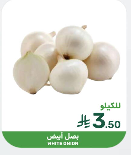 Onion available at  مـزايــا in مملكة العربية السعودية, السعودية, سعودية - المنطقة الشرقية