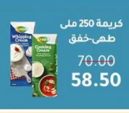 available at Wekalet Elmansoura - Dakahlia  in Egypt - Cairo