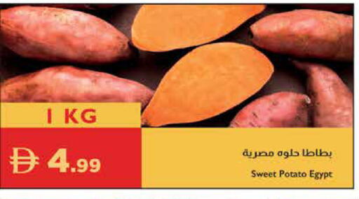 Sweet Potato from Egypt available at إسطنبول سوبرماركت in الإمارات العربية المتحدة , الامارات - أبو ظبي