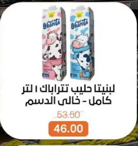 available at بيت الجملة in Egypt - القاهرة