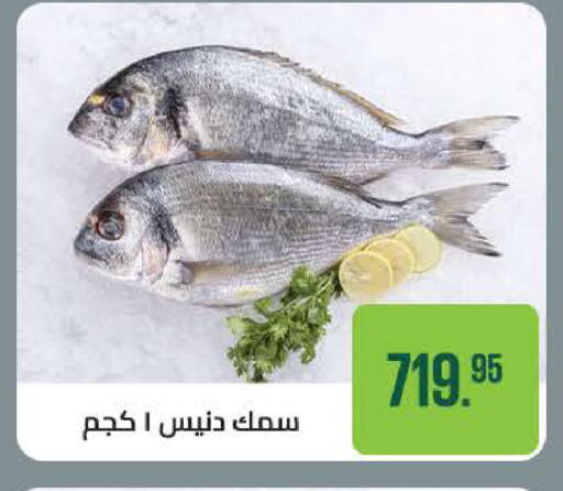 available at سعودي سوبرماركت in Egypt - القاهرة