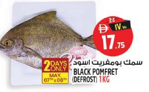available at Safari Hypermarket in UAE - Sharjah / Ajman