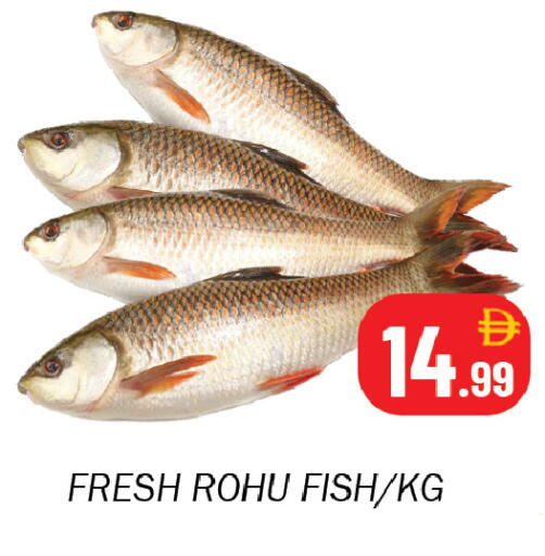 available at سوق المبارك هايبرماركت in الإمارات العربية المتحدة , الامارات - الشارقة / عجمان