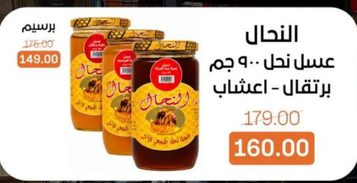 available at بيت الجملة in Egypt - القاهرة
