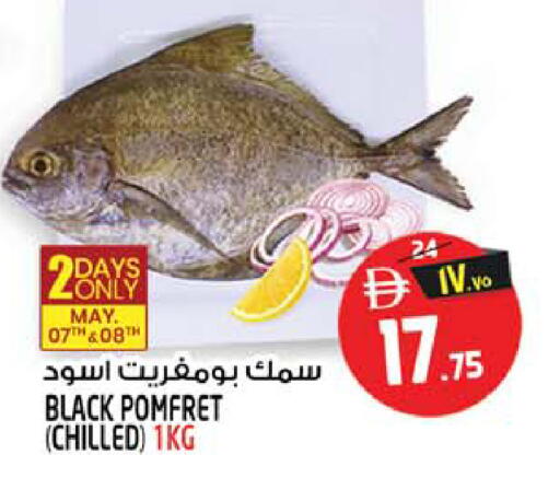 available at سفاري هايبر ماركت in الإمارات العربية المتحدة , الامارات - رَأْس ٱلْخَيْمَة