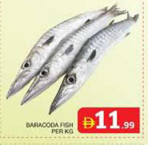 available at Seven Emirates Supermarket in UAE - Abu Dhabi