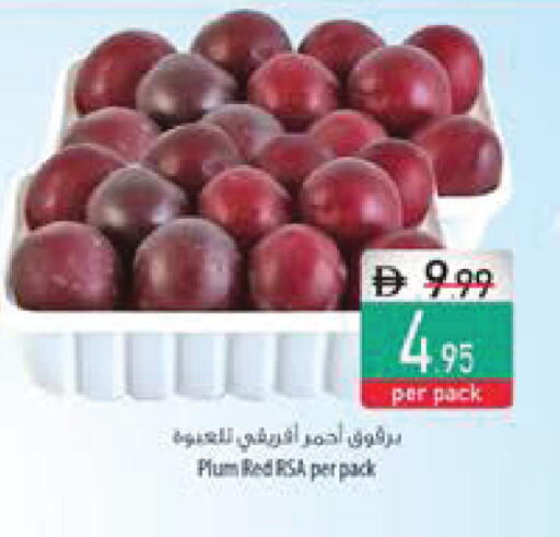Plum available at السفير ماركت in الإمارات العربية المتحدة , الامارات - ٱلْفُجَيْرَة‎