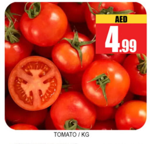 Tomato available at لكي سنتر in الإمارات العربية المتحدة , الامارات - الشارقة / عجمان