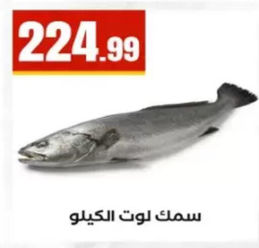 available at مارت فيل in Egypt - القاهرة