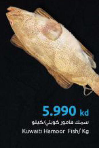 available at The Sultan Center in Kuwait - Ahmadi Governorate