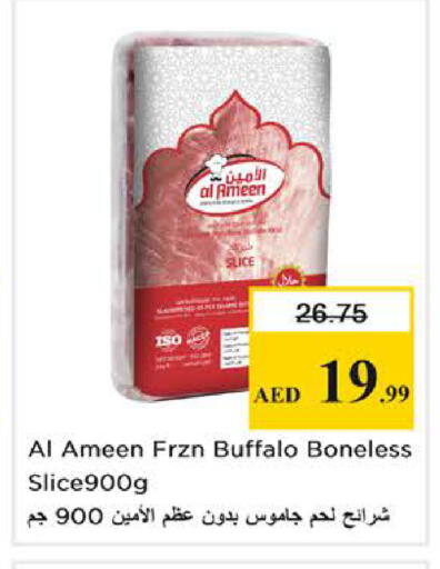 available at نستو هايبرماركت in الإمارات العربية المتحدة , الامارات - دبي